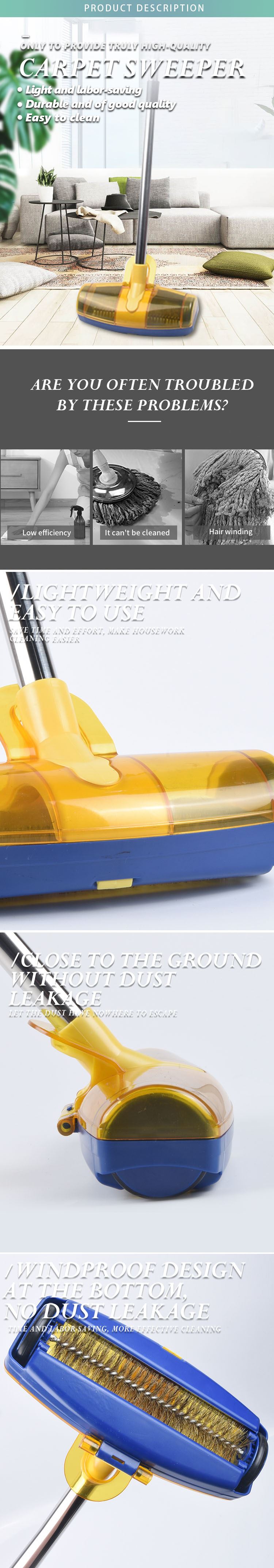 Carpet brush